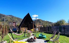 Borjomi Story